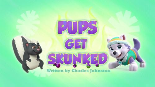 PAW Patrol Season 3 Episode 42 - Pups Get Skunked