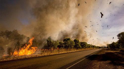 Australia Remastered Season 6 Episode 3 - Fire