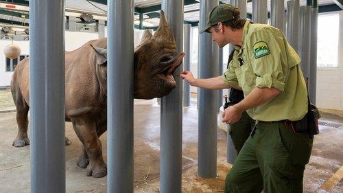 Magic of Disney's Animal Kingdom Season 1 Episode 5 - Aardvark Love!