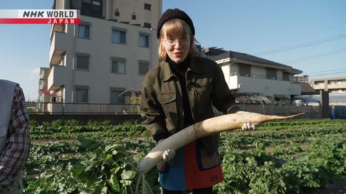 Dive in Tokyo Season 2 Episode 20 - Nerima - The City of Agriculture and Animation