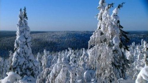 Wild Russia Season 1 Episode 6 - Urals