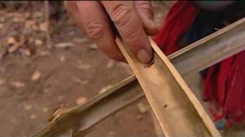 Dual Survival Season 1 Episode 5 - Panic in the Jungle