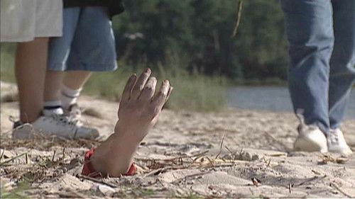 The New Detectives Season 3 Episode 4 - Seeds of Destruction