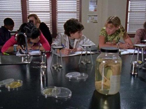 Lizzie McGuire Season 1 Episode 6 - Jack of All Trades
