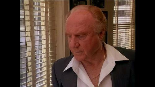 Crazy like a Fox Season 1 Episode 1 - Pilot