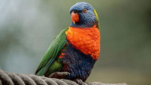 Animal Park Season 25 Episode 3 - Episode 3