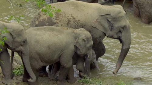 Unexplored Land Season 1 Episode 5 - Episode 5