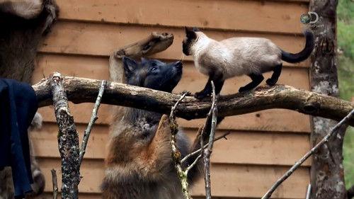 Alaskan Bush People Season 4 Episode 9 - Bush Heart