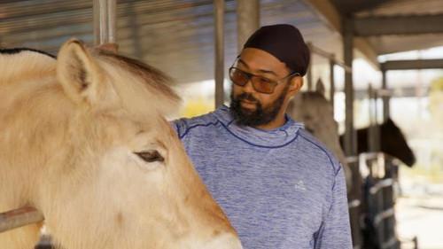 The UnXplained Season 1 Episode 16 - Amazing Animal Abilites