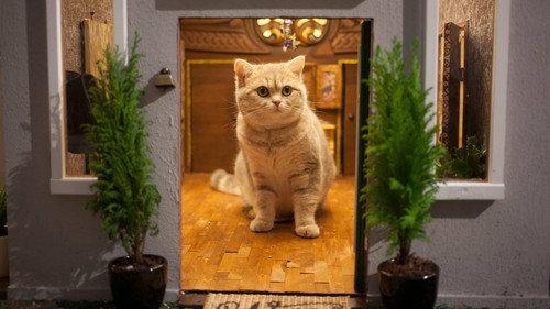 Poesjes Season 1 Episode 2 - Episode 2