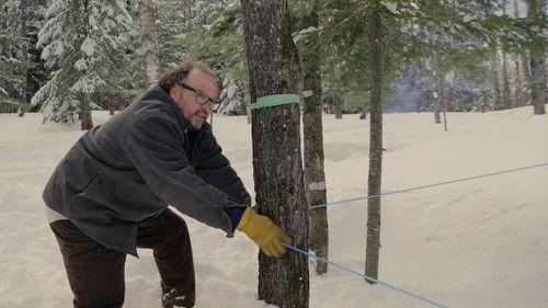 A Chef at the Shack Season 6 Episode 11 - Episode 11