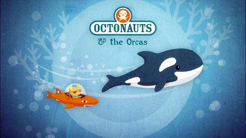 Octonauts Season 1 Episode 11 - The Orcas