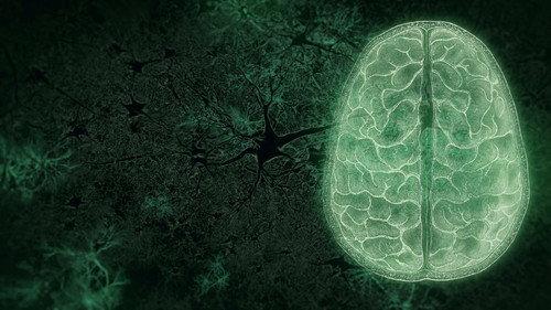 NOVA Season 50 Episode 10 - Your Brain: Who's in Control? (2)