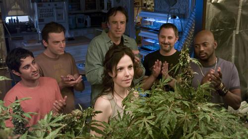Weeds Season 2 Episode 8 - MILF Money