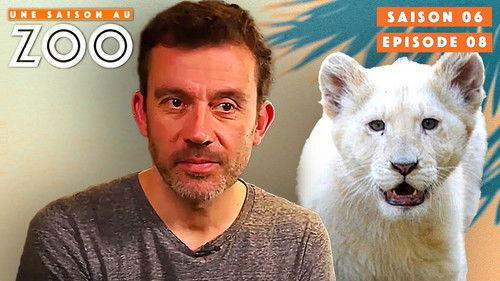 Une saison au zoo Season 6 Episode 8 - Episode 8