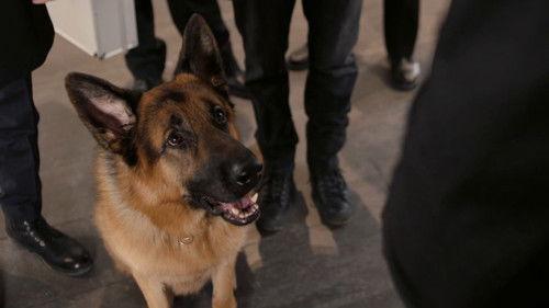 undefined Season 1 Episode 8 - Fast Eddie's