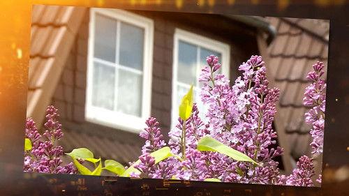 Ermittler! Season 8 Episode 6 - Episode 6