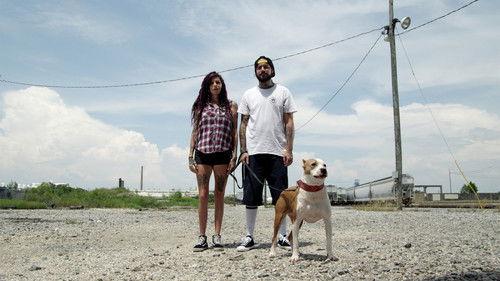Pit Bulls and Parolees Season 15 Episode 8 - One Man's Treasure
