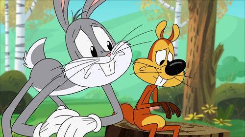 New Looney Tunes Season 1 Episode 9 - For the Love of Acorns
