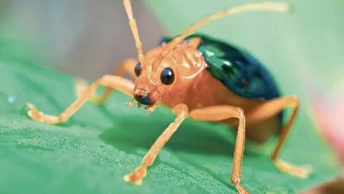 Little Giants Season 1 Episode 9 - Episode 9