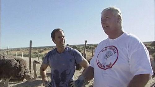 Dirty Jobs Season 1 Episode 8 - Ostrich Farmer