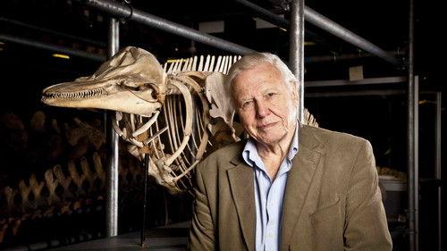 Nature Season 31 Episode 7 - Attenborough's Life Stories: Our Fragile Planet