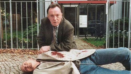 Scene of the Crime Season 27 Episode 5 - Episode 5