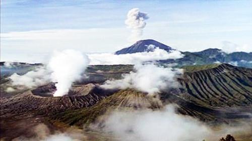 Natural World Season 18 Episode 9 - Wild Indonesia: Magical Forests