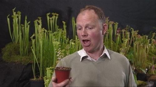 The Beechgrove Garden Season 36 Episode 9 - Episode 9