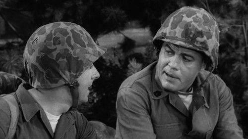 Gomer Pyle, U.S.M.C. Season 1 Episode 9 - Survival of the Fattest