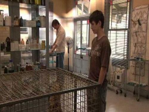 Wild at Heart Season 3 Episode 8 - Episode 8