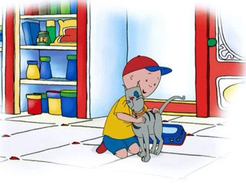 Caillou Season 4 Episode 6 - No More Training Wheels