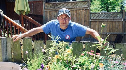 Louis and the Urban Jungle Season 3 Episode 8 - Episode 8