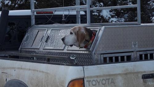 Mountain Men Season 9 Episode 9 - Bloody Knuckles