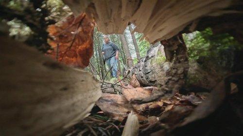 Life Below Zero Season 22 Episode 4 - The Way of the Bear