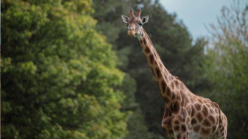 Animal Park Season 25 Episode 13 - Episode 13