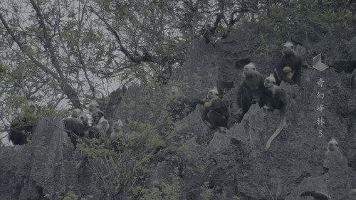 China: The Sublime Season 1 Episode 5 - Episode 5