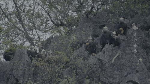 China: The Sublime Season 1 Episode 5 - Episode 5