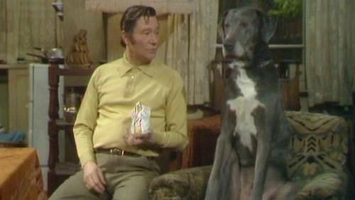 On the Buses Season 3 Episode 13 - On the Make