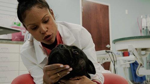 Pop Goes the Vet with Dr. Joya Season 1 Episode 7 - A Fungus Among Us