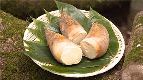 Trails to Tsukiji Season 2 Episode 4 - Takenoko