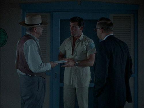 Flipper Season 1 Episode 20 - Money to Blow