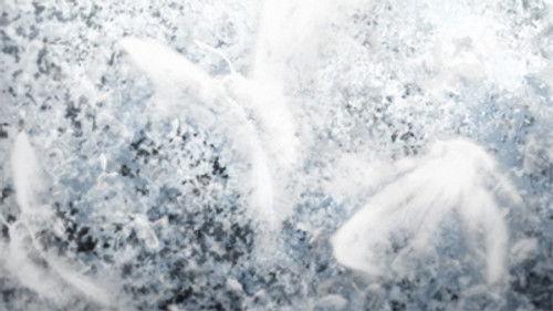 The Tatami Galaxy Season 1 Episode 11 - The End of the 4.5 Tatami Age