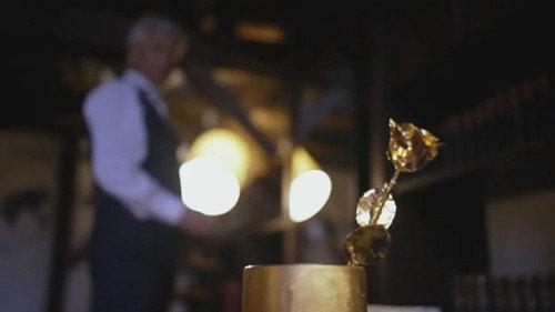 Golden Bachelor Season 1 Episode 11 - Episode 11
