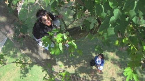 Easy Fortune Happy Life Season 1 Episode 13 - Episode 13