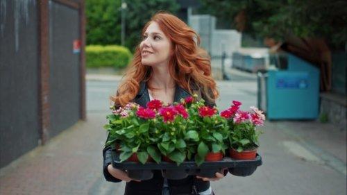 Love for Rent Season 1 Episode 44 - Episode 44