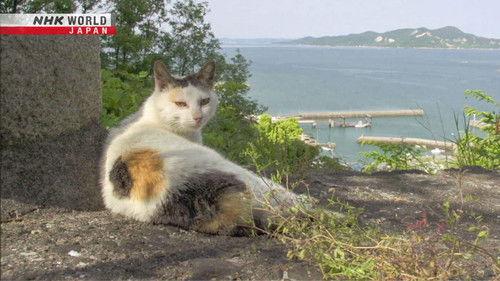 A Cat's-Eye View of Japan Season 2 Episode 3 - Seto Inland Sea: Two Cat Islands