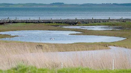 Countryfile Season 35 Episode 17 - County Down Spring