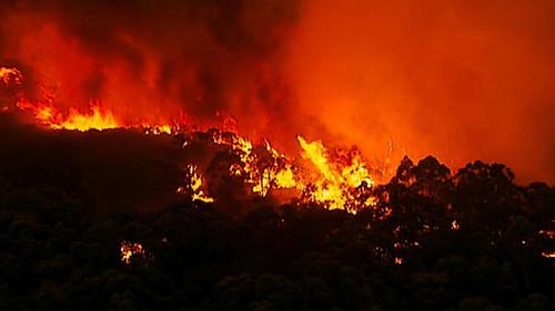 Nature Season 29 Episode 12 - Survivors of the Firestorm