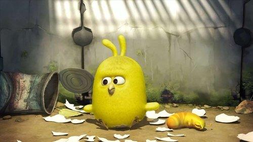 Larva Season 1 Episode 75 - Chick (1)